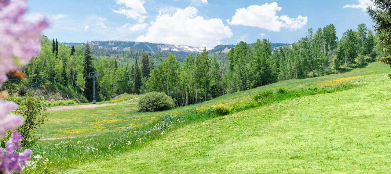 Laurelwood Condominiums 307 Snowmass Village Buitenkant foto